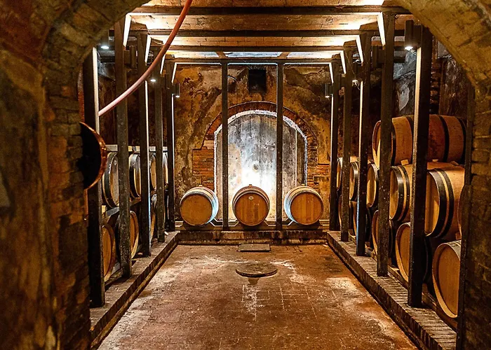 Agriturismo Gli Archi Fauglia